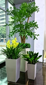 镇海花卉租赁合同模板详细教程，新手零基础入门